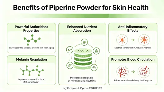 Benefits of Piperine Powder for Skin Health Benefits of Piperine Powder for Skin Health