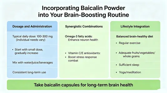 Incorporating Baicalein Powder into Your Brain Boosting Routine Incorporating Baicalein Powder into Your Brain Boosting Routine