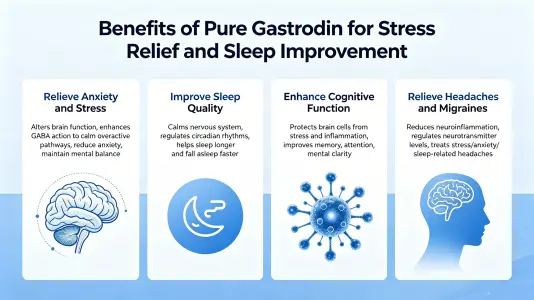 Benefits of Pure Gastrodin for Stress and Sleep Benefits of Pure Gastrodin for Stress and Sleep