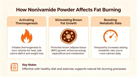 Nonivamide Powder Affects Fat Burning Nonivamide Powder Affects Fat Burning