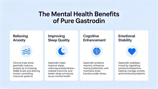 Benefits of Pure Gastrodin for Mental Health Support Benefits of Pure Gastrodin for Mental Health Support