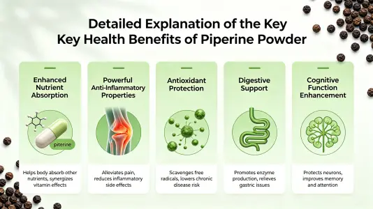 Top Health Benefits of Piperine Powder Explained