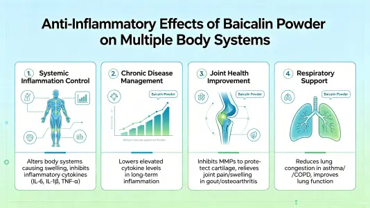 Anti-Inflammatory Effects on Various Body Systems Anti-Inflammatory Effects on Various Body Systems