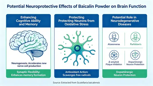 Potential Neuroprotective Benefits for Brain Function Potential Neuroprotective Benefits for Brain Function