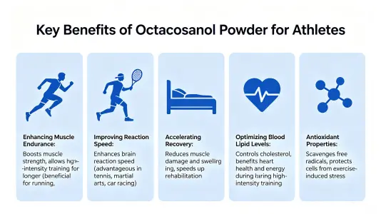 Top Benefits of Octacosanol Powder for Athletes Top Benefits of Octacosanol Powder for Athletes