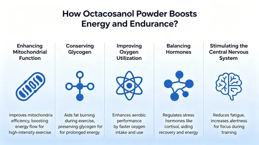 Octacosanol Powder Boosts Energy and Stamina Octacosanol Powder Boosts Energy and Stamina