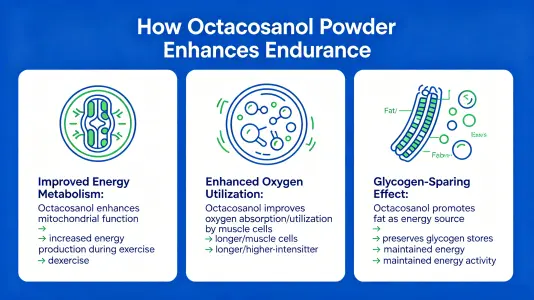 How Octacosanol Powder Boosts Stamina How Octacosanol Powder Boosts Stamina