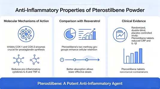 Anti-Inflammatory Properties of Pterostilbene Powder Anti-Inflammatory Properties of Pterostilbene Powder