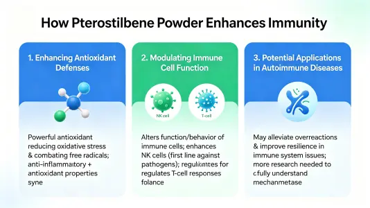 How Pterostilbene Powder Supports Immune Health How Pterostilbene Powder Supports Immune Health
