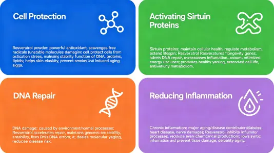 How Pure Nature Resveratrol Fights Aging How Pure Nature Resveratrol Fights Aging