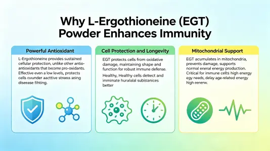 Why bulk L-Ergothioneine powder boosts immunity Why bulk L-Ergothioneine powder boosts immunity