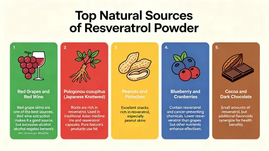 Top Natural Sources of Resveratrol Powder Explained Top Natural Sources of Resveratrol Powder Explained