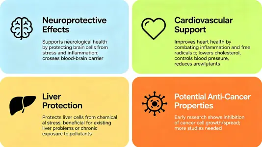 Health Benefits of Baicalein Powder Explained