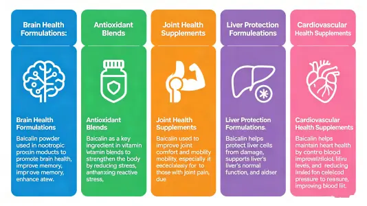 Top Uses of Baicalein Powder in Supplements Top Uses of Baicalein Powder in Supplements
