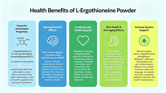 Top benefits of bulk l ergothioneine powder for health