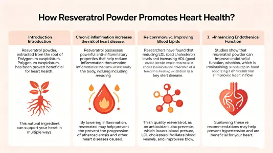 How Resveratrol Powder Supports Heart Health How Resveratrol Powder Supports Heart Health