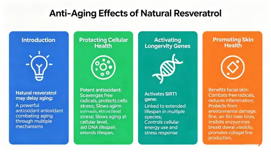 Anti-Aging Effects of Natural Resveratrol Anti-Aging Effects of Natural Resveratrol