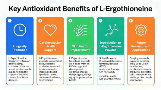Top Antioxidant Benefits of L-Ergothioneine Top Antioxidant Benefits of L-Ergothioneine