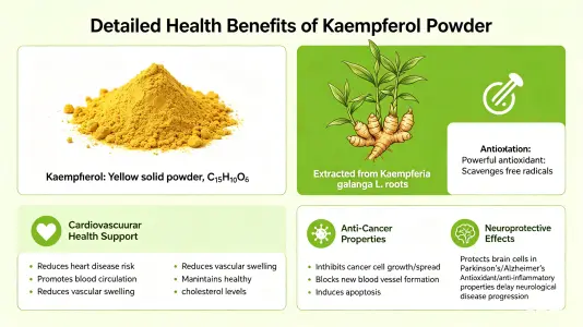 Health Benefits of Kaempferol Powder Explained Health Benefits of Kaempferol Powder Explained