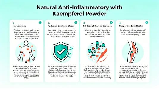 Using Kaempferol Powder for Natural Anti-Inflammation Using Kaempferol Powder for Natural Anti-Inflammation
