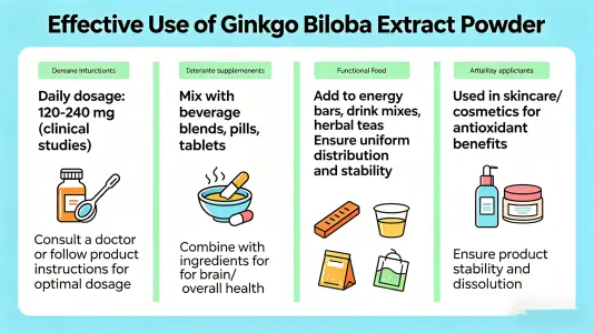 Use Ginkgo Biloba Extract Powder Use Ginkgo Biloba Extract Powder