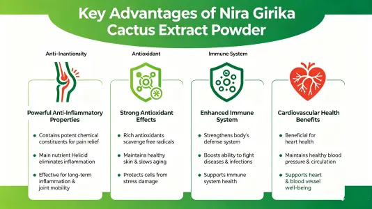 Key Advantages of Helicia Nilagirica Extract Powder