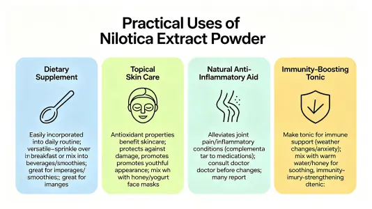 Practical Uses of Helicia Nilagirica Extract Powder