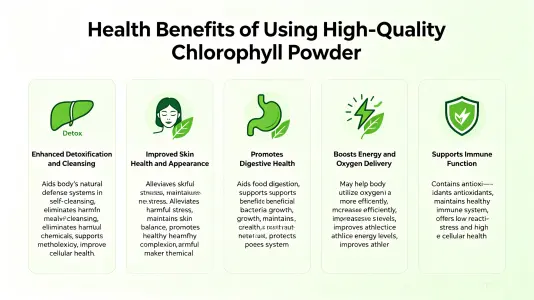 Health Advantages of Using the Best Chlorophyll Powder