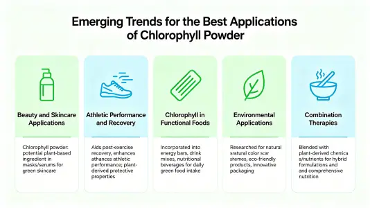 Emerging Trends in Best Chlorophyll Powder Usage