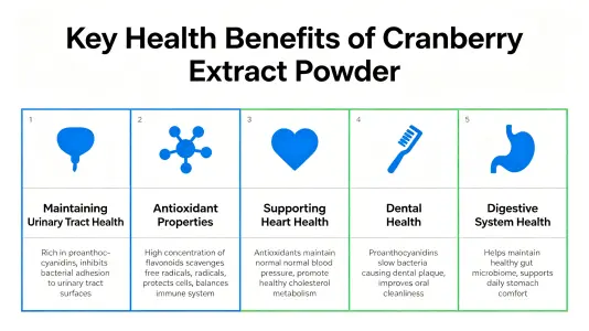 Top Health Benefits of Cranberry Extract Powder