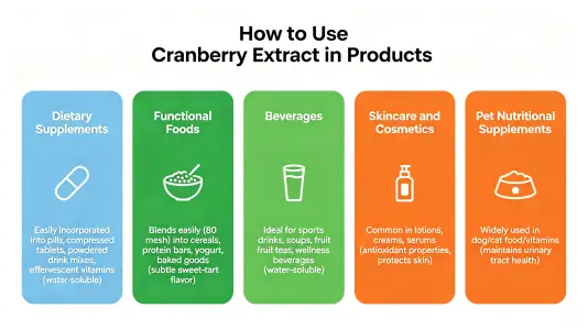 How to Use Bulk Cranberry Extract in Products