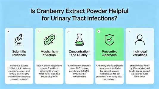 Is Bulk Cranberry Extract Good for UTI Support