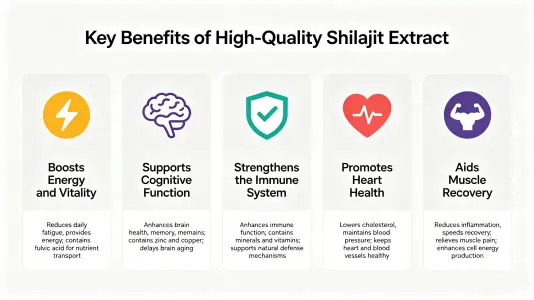 Top Benefits of the Best Shilajit Extract Top Benefits of the Best Shilajit Extract