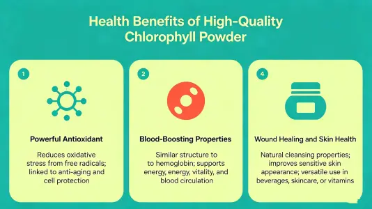 Health Benefits of Best Chlorophyll Powder Health Benefits of Best Chlorophyll Powder