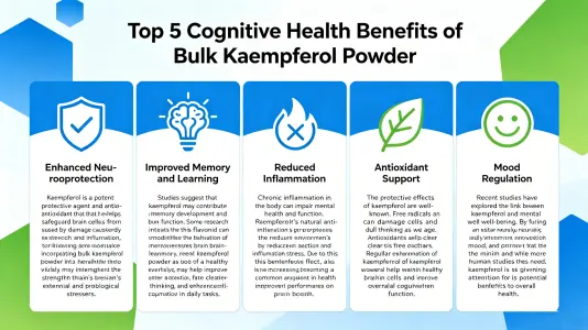 Top 5 Benefits of Bulk Kaempferol Powder for Cognitive Health Top 5 Benefits of Bulk Kaempferol Powder for Cognitive Health