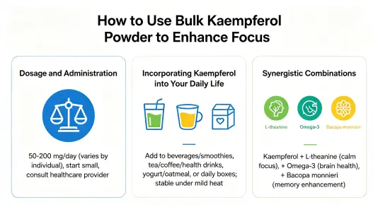 How to Use Bulk Kaempferol Powder for Enhanced Focus