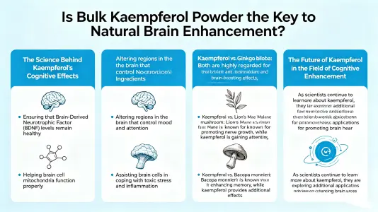 Is Bulk Kaempferol Powder the Key to Natural Brain Boosters Is Bulk Kaempferol Powder the Key to Natural Brain Boosters