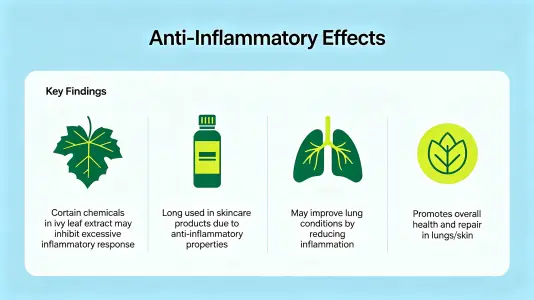Anti-inflammatory Effects Anti-inflammatory Effects