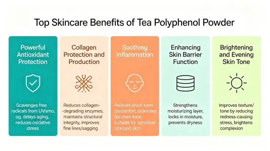 Top Skin Benefits of Tea Polyphenols Powder Top Skin Benefits of Tea Polyphenols Powder