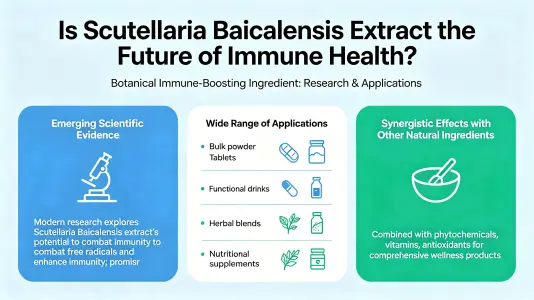 Is Scutellaria Extract the Future of Immune Health