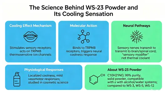 The Science Behind WS 23 Powder and Its Cooling Sensation The Science Behind WS 23 Powder and Its Cooling Sensation
