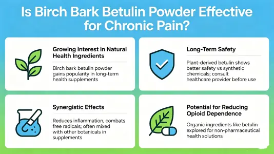 Is Birch Bark Betulin Powder Effective for Chronic Pain