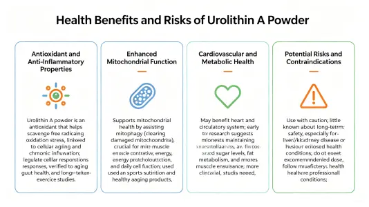 Health Benefits and Risks of Urolithin A Powder