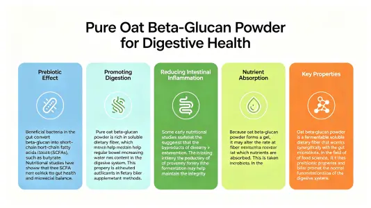 Using Pure Oat Beta Glucan Powder for Digestive Health