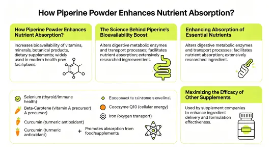 How Piperine Powder Boosts Nutrient Absorption