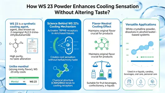 How WS 23 powder enhances cooling without flavor How WS 23 powder enhances cooling without flavor