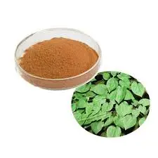 Epimedium Extract Powder