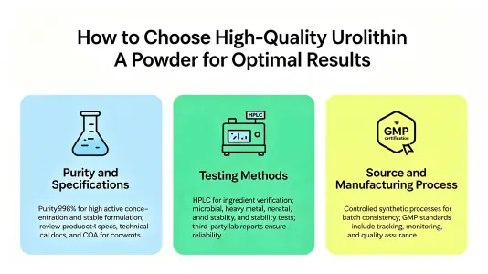 Choosing Quality Urolithin A Powder for Best Results Choosing Quality Urolithin A Powder for Best Results