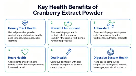 Top Health Benefits of Cranberry Extract Powder Top Health Benefits of Cranberry Extract Powder
