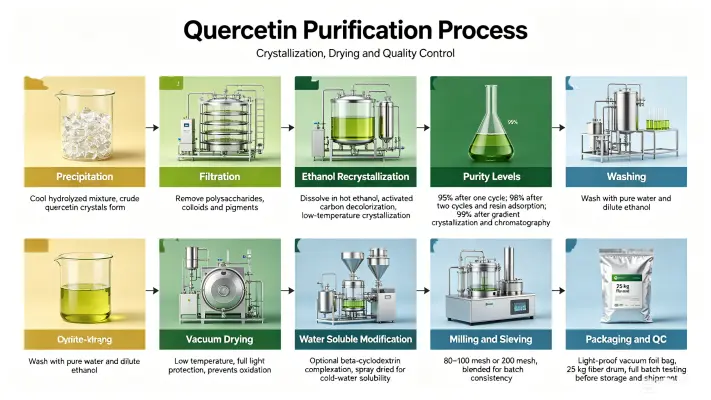 Production Process